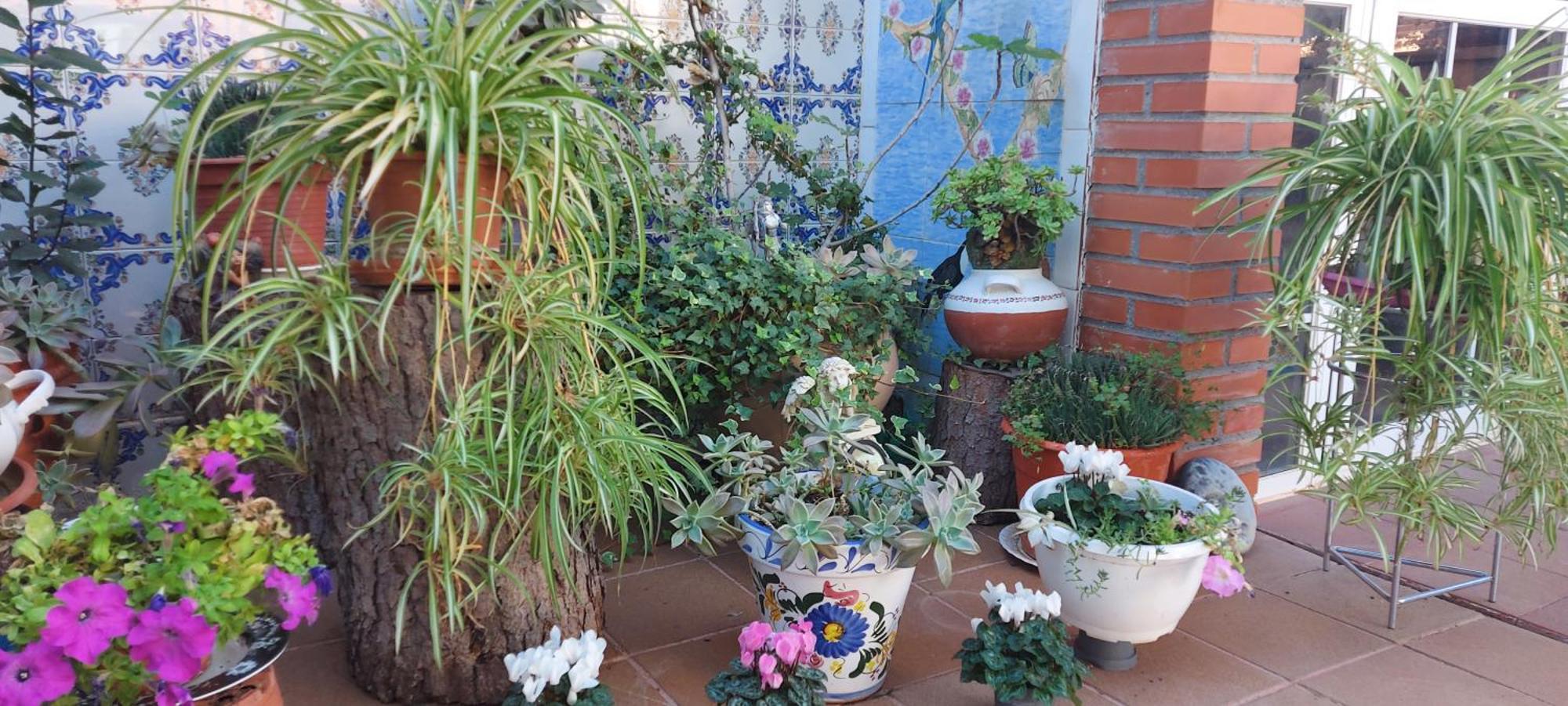 אזוקקה דה הנארס Habitacion,Piscina Y Jardin מראה חיצוני תמונה